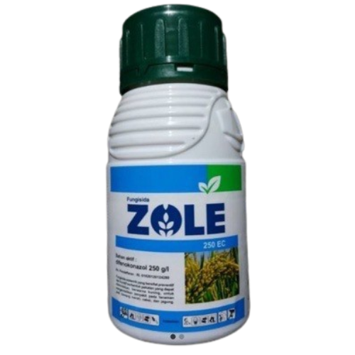 ZOLE 100 ML
