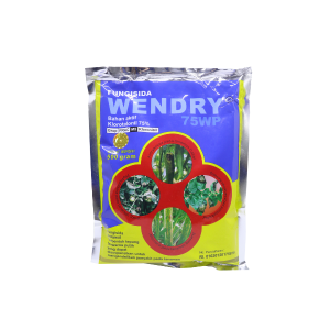 WENDRY 500 GR